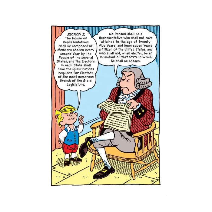 Constitution Illustrated - Image 5
