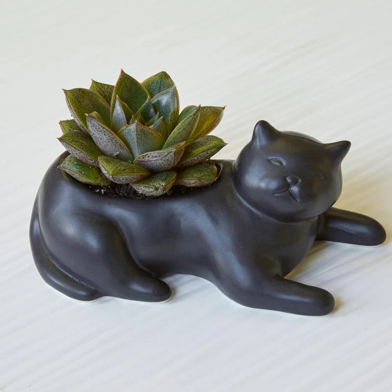 Cosmo The Black Cat Planter - Image 4