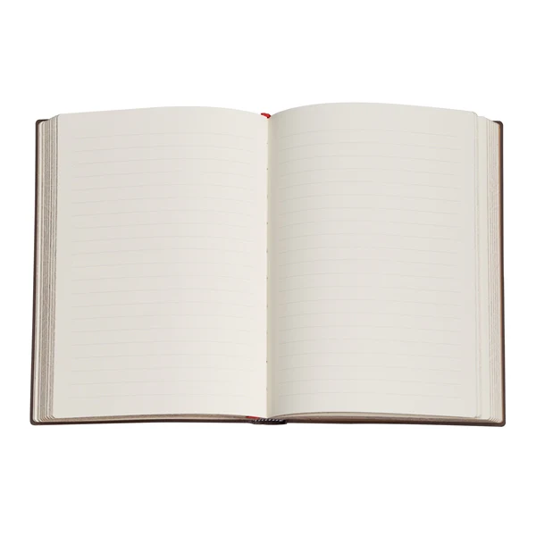 Softcover Daphnis & Chloe Journal - Image 3