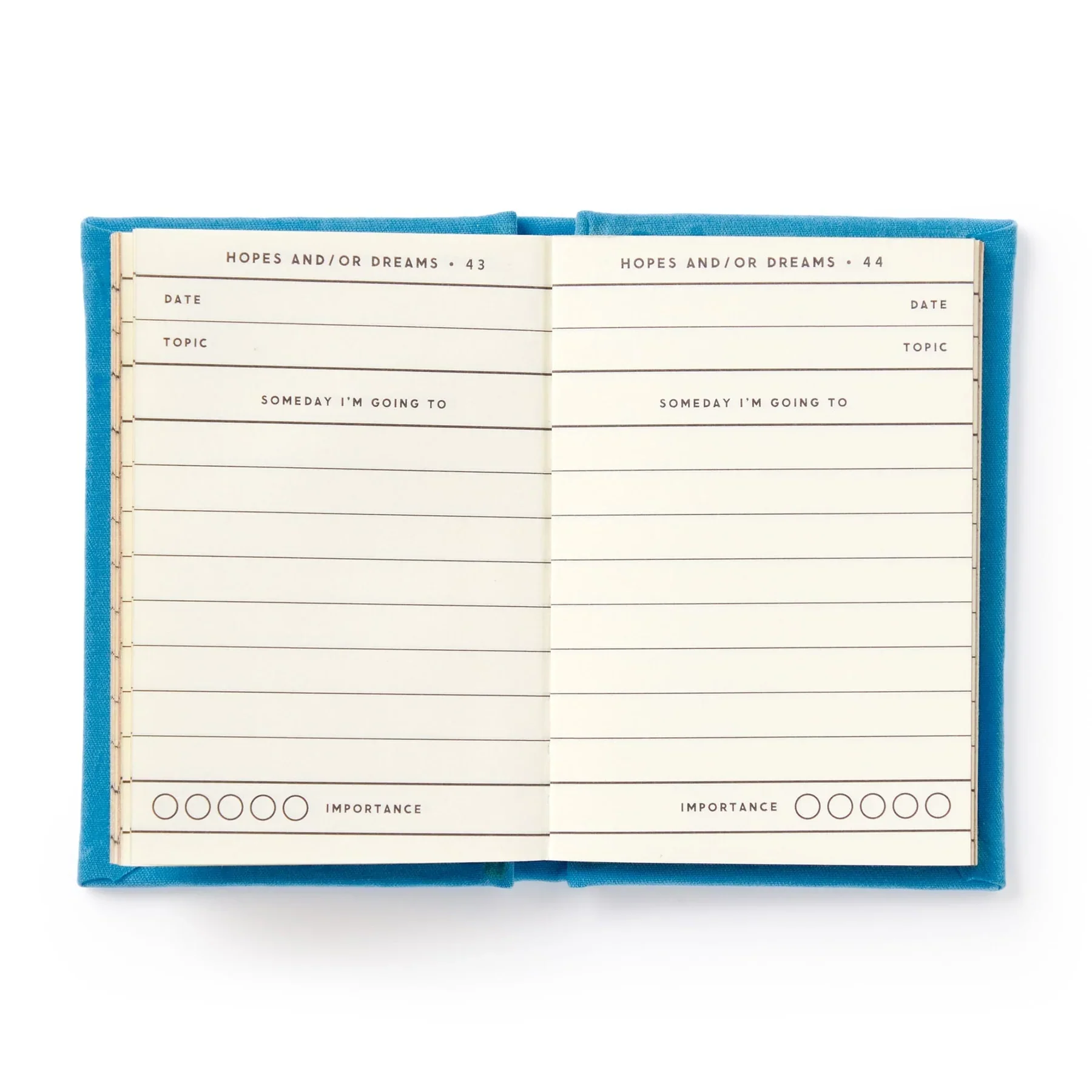 Tiny Hopes and Dreams Tiny Diary - Image 3